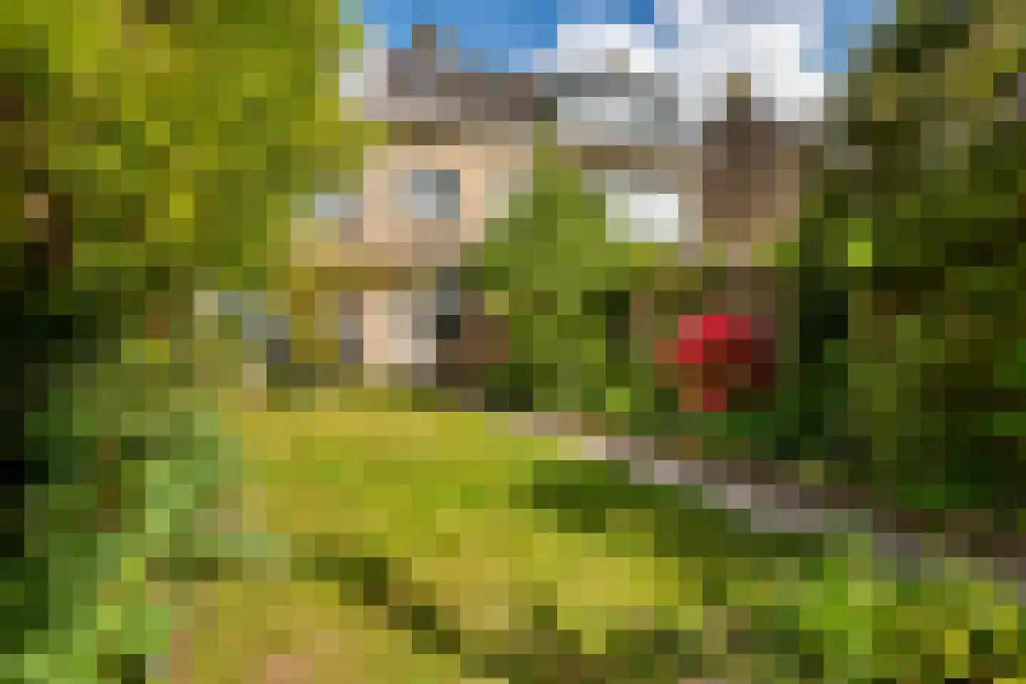 Schoutstraat 15 Nijmegen thumbnail 45