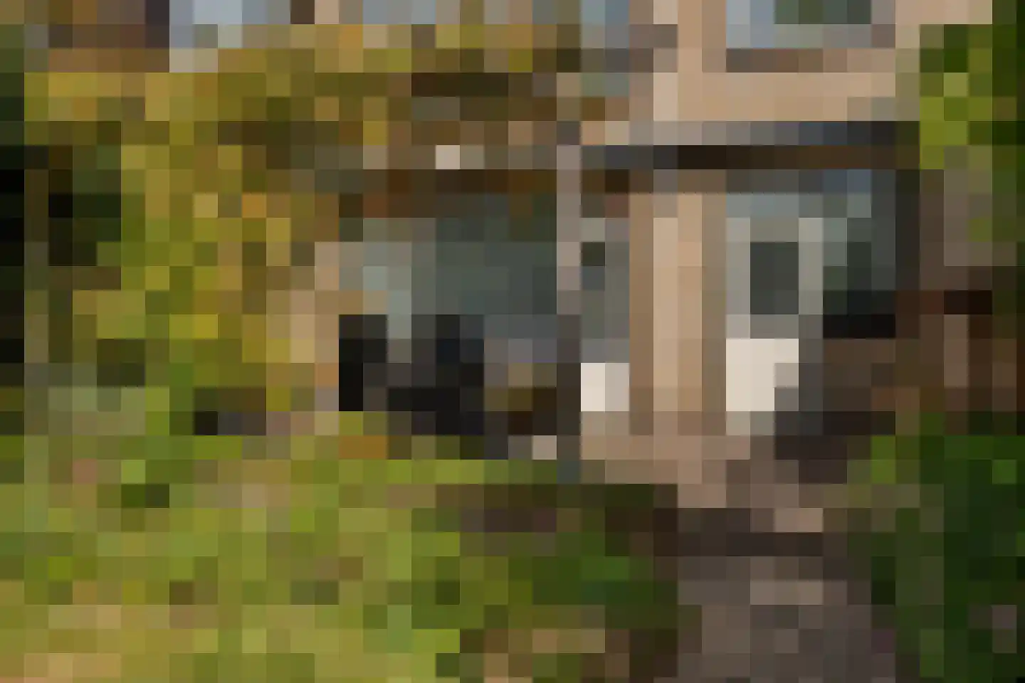 Schoutstraat 15 Nijmegen thumbnail 47