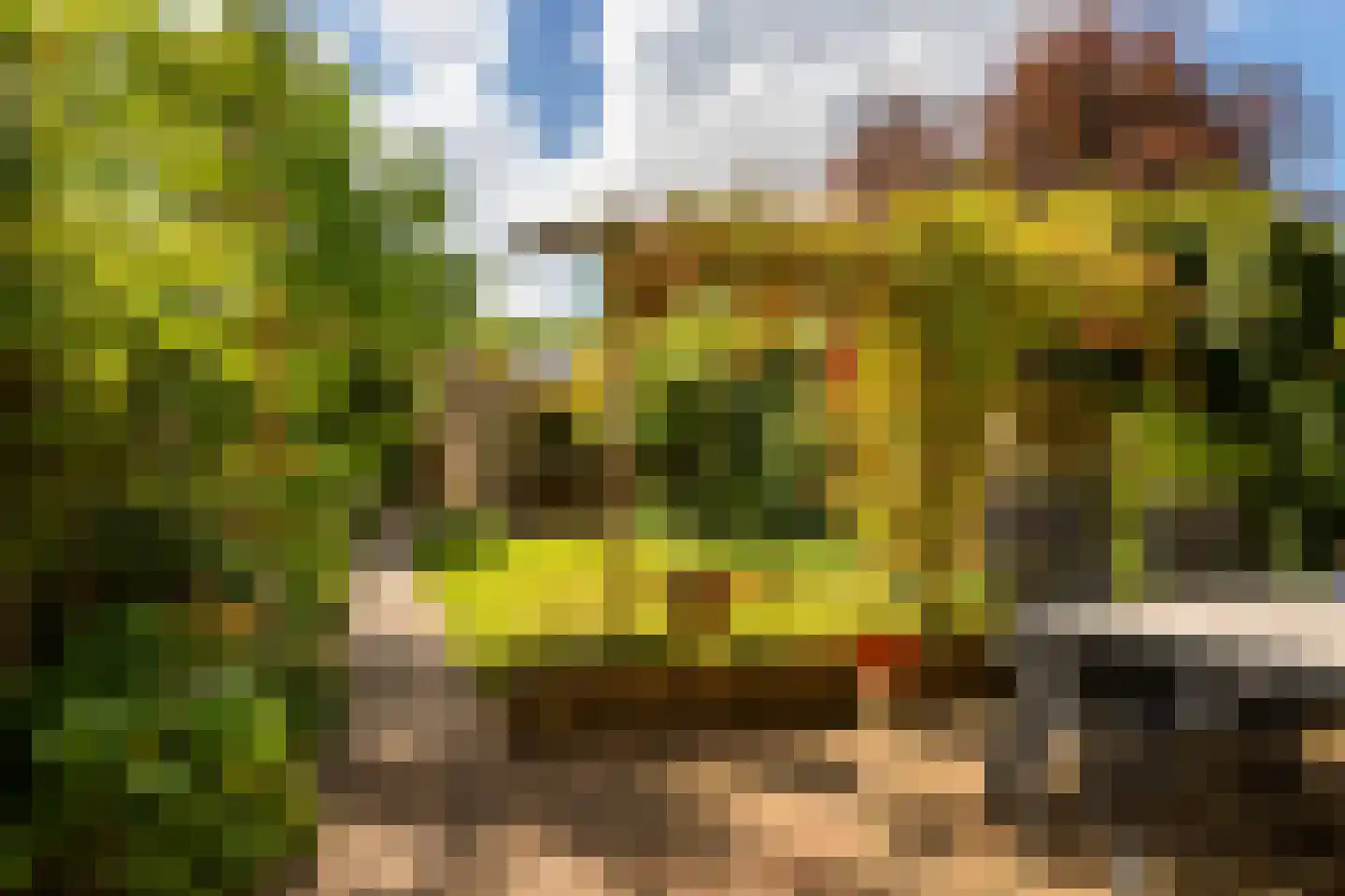 Schoutstraat 15 Nijmegen thumbnail 50