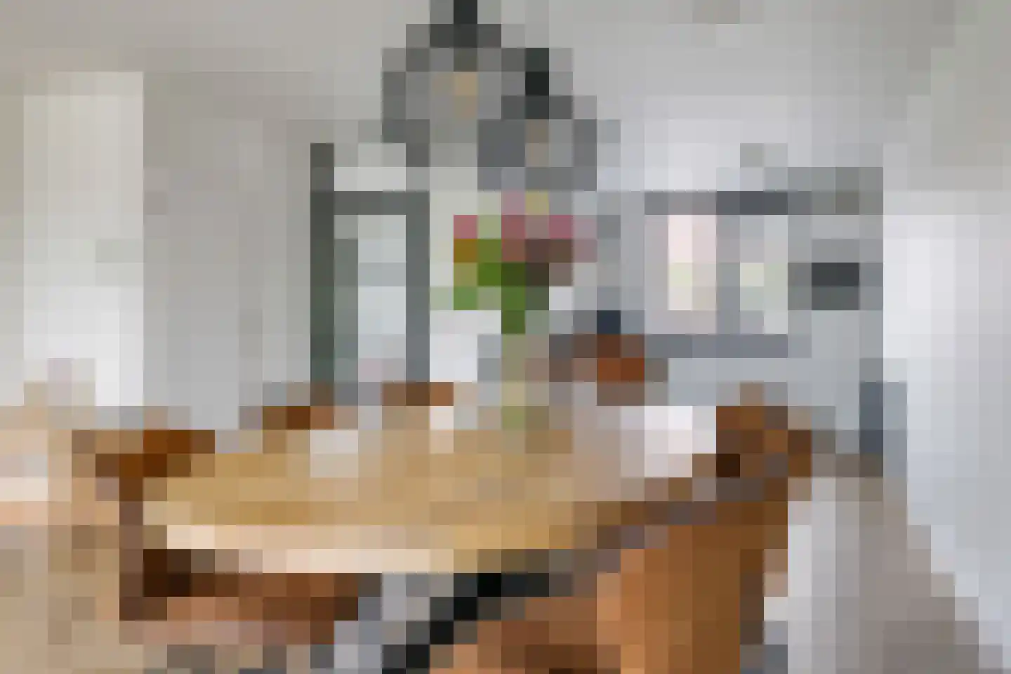 Schoutstraat 16 Gendt thumbnail 20