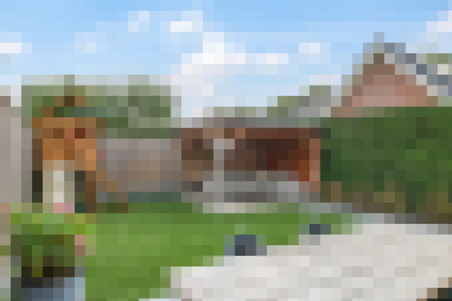 Schoutstraat 16 Gendt thumbnail 39