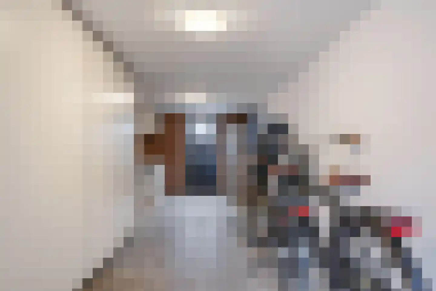 Schoutstraat 16 Gendt thumbnail 43