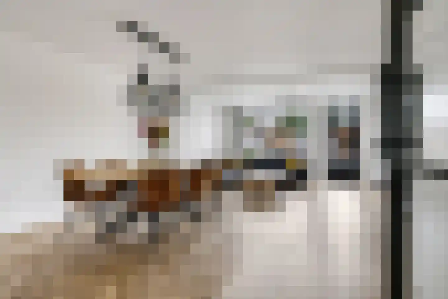 Schoutstraat 16 Gendt thumbnail 5