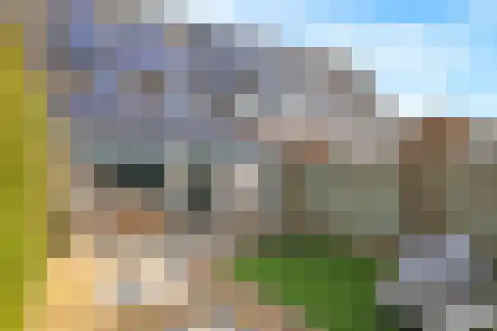 Schoutstraat 17 Gendt thumbnail 33