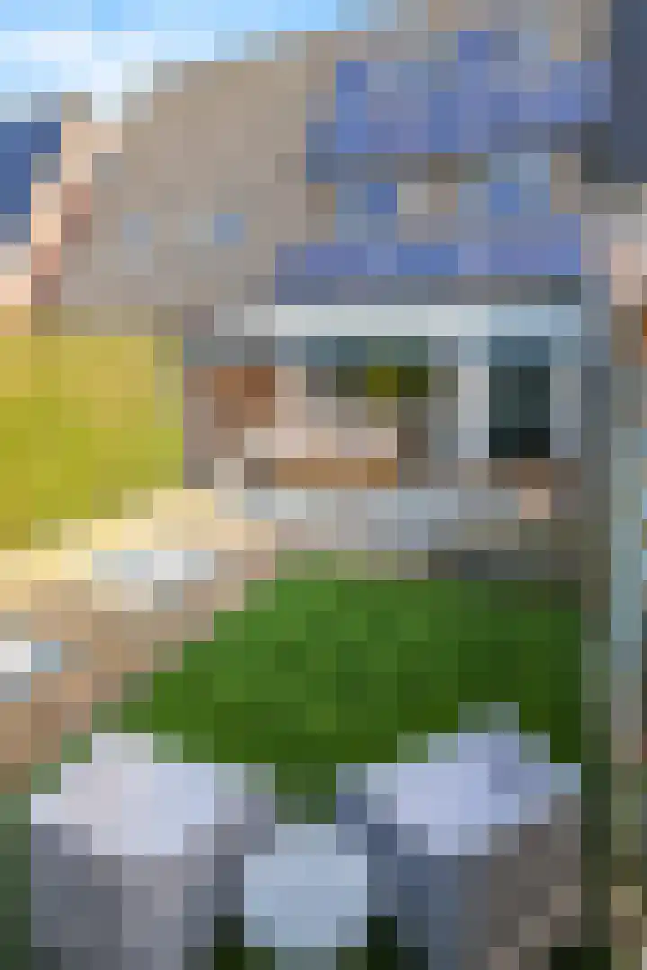 Schoutstraat 17 Gendt thumbnail 38