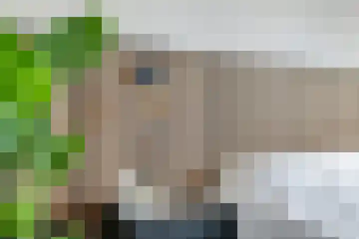 Schoutstraat 17 Gendt thumbnail 59