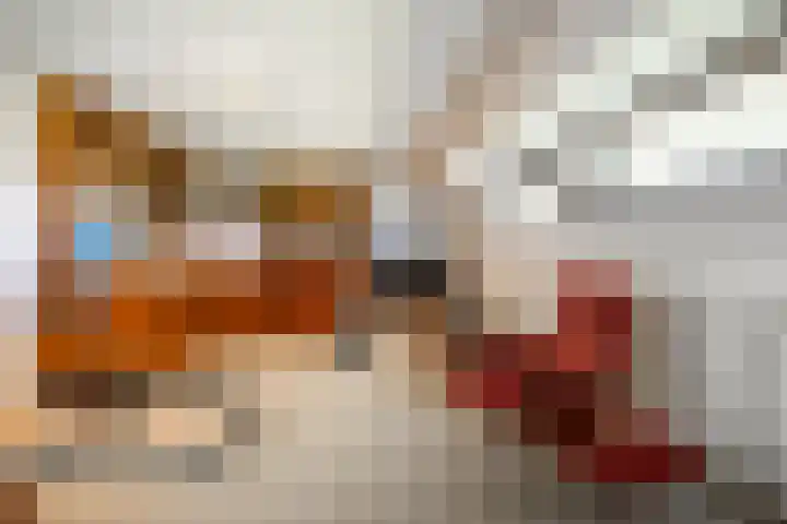 Schoutstraat 17 Klimmen thumbnail 21