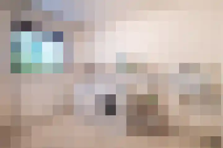 Schoutstraat 17 Klimmen thumbnail 25