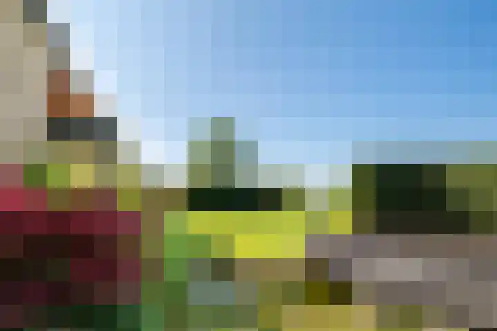 Schoutstraat 17 Klimmen thumbnail 29