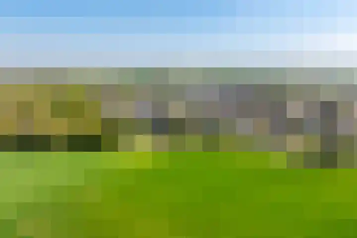 Schoutstraat 17 Klimmen thumbnail 37