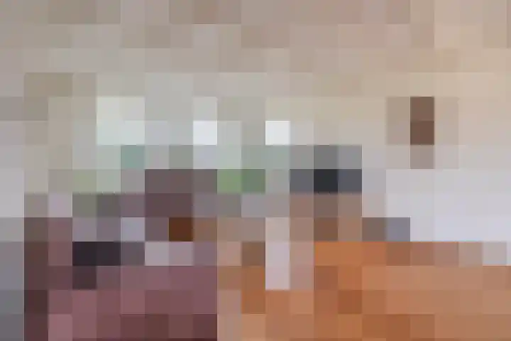 Schoutstraat 18 Waspik thumbnail 12