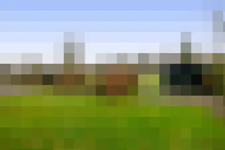Schoutstraat 18 Waspik thumbnail 24