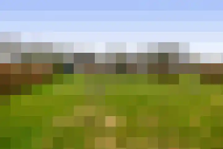 Schoutstraat 18 Waspik thumbnail 26