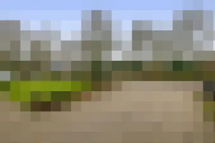 Schoutstraat 18 Waspik thumbnail 6