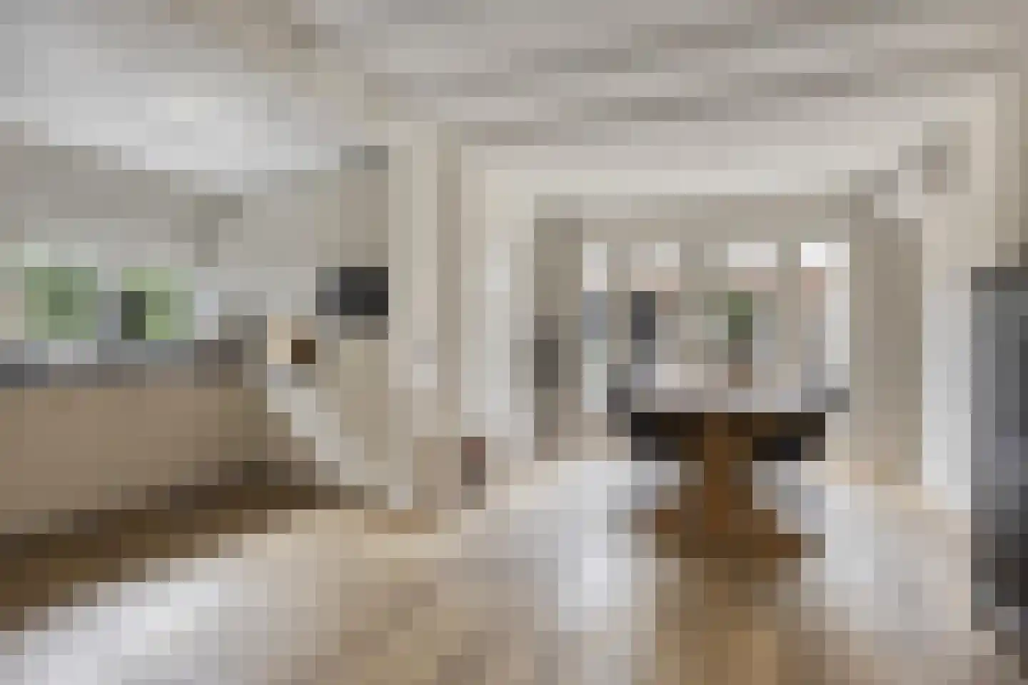 Schoutstraat 19 IJsselmuiden thumbnail 10