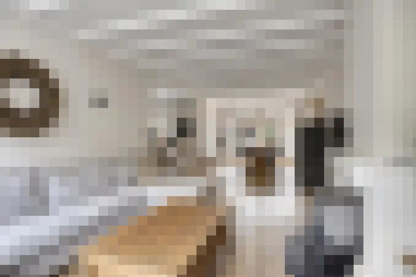 Schoutstraat 19 IJsselmuiden thumbnail 6