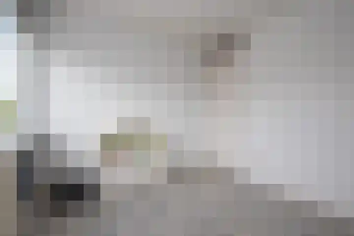 Schoutstraat 19 Woudenberg thumbnail 18