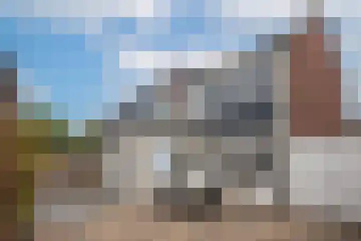 Schoutstraat 19 Woudenberg thumbnail 4