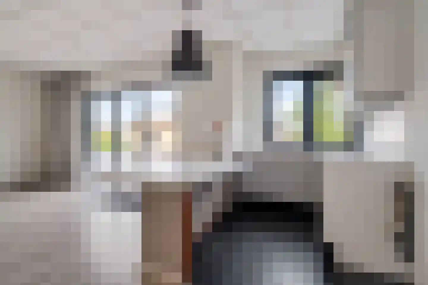 Schoutstraat 2 a Woudenberg thumbnail 23