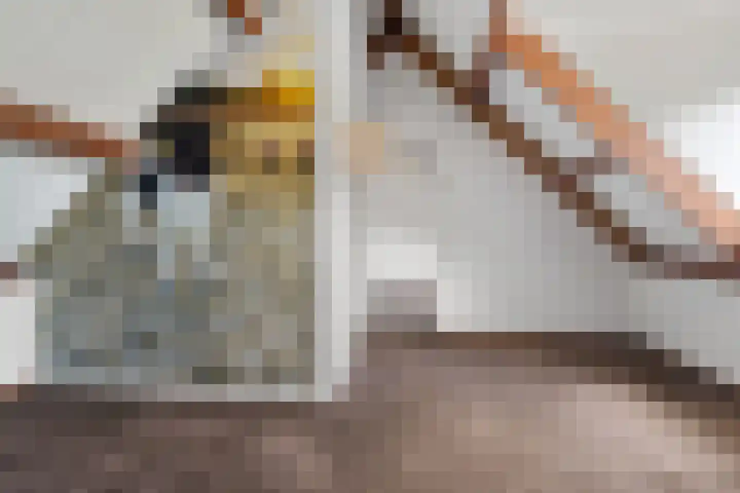 Schoutstraat 2 a Woudenberg thumbnail 33