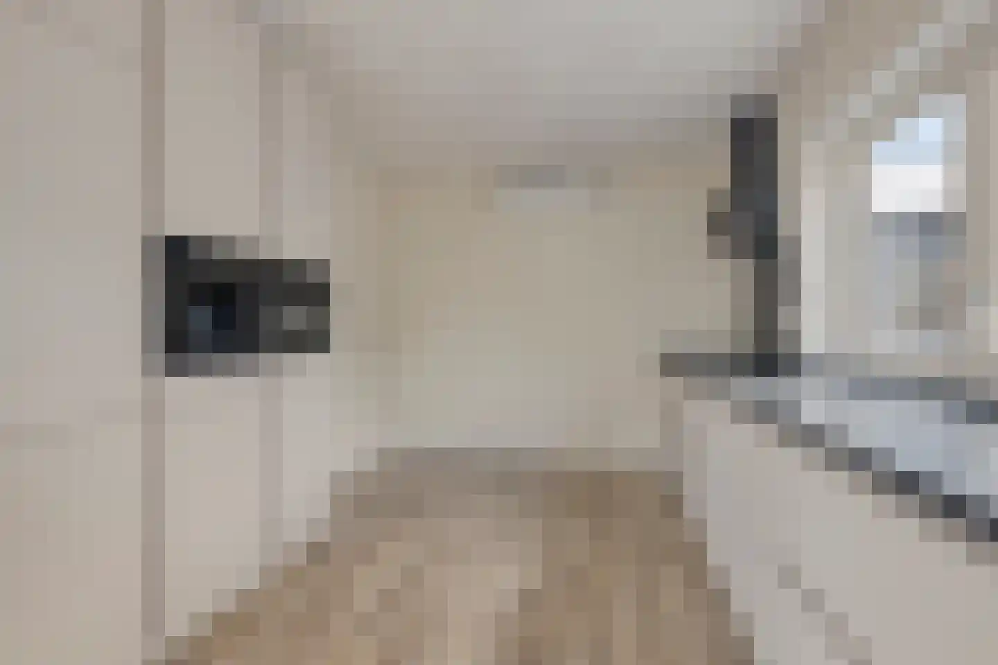 Schoutstraat 2 Grijpskerk thumbnail 24