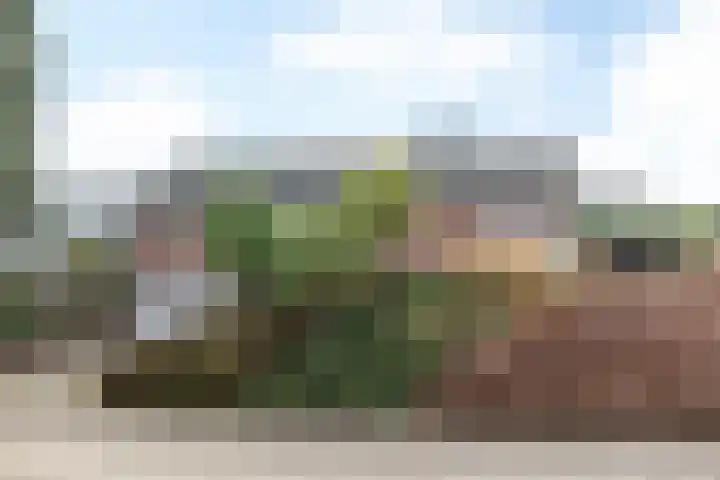 Schoutstraat 2 Klimmen thumbnail 32