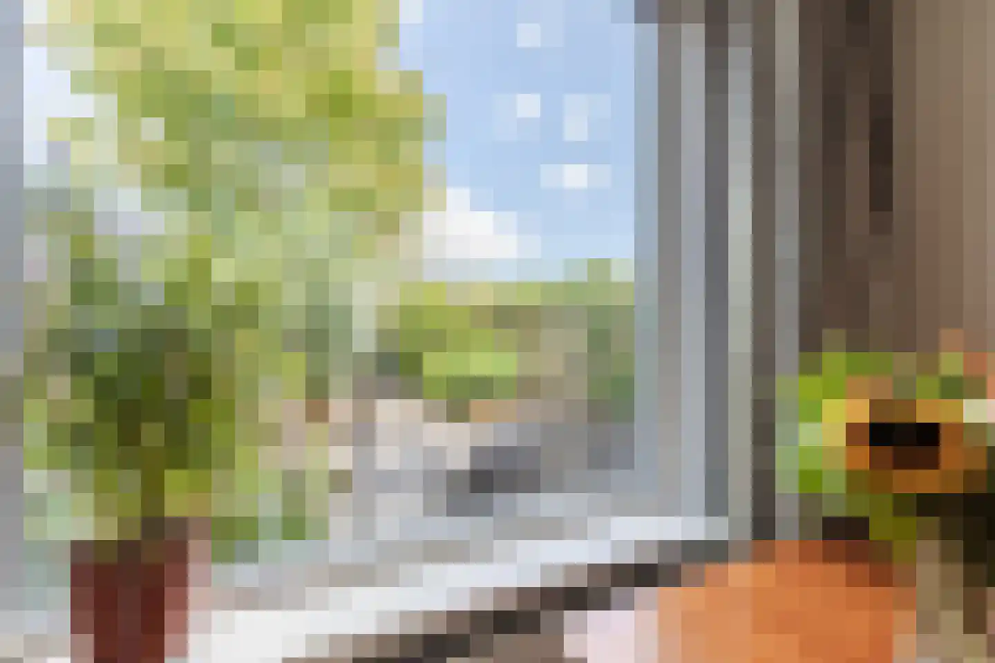 Schoutstraat 21 Montfoort thumbnail 13