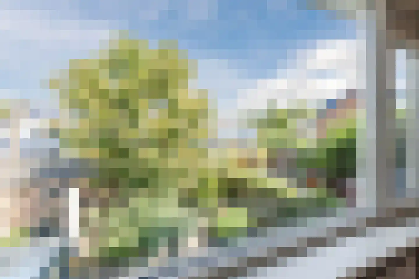 Schoutstraat 21 Montfoort thumbnail 24