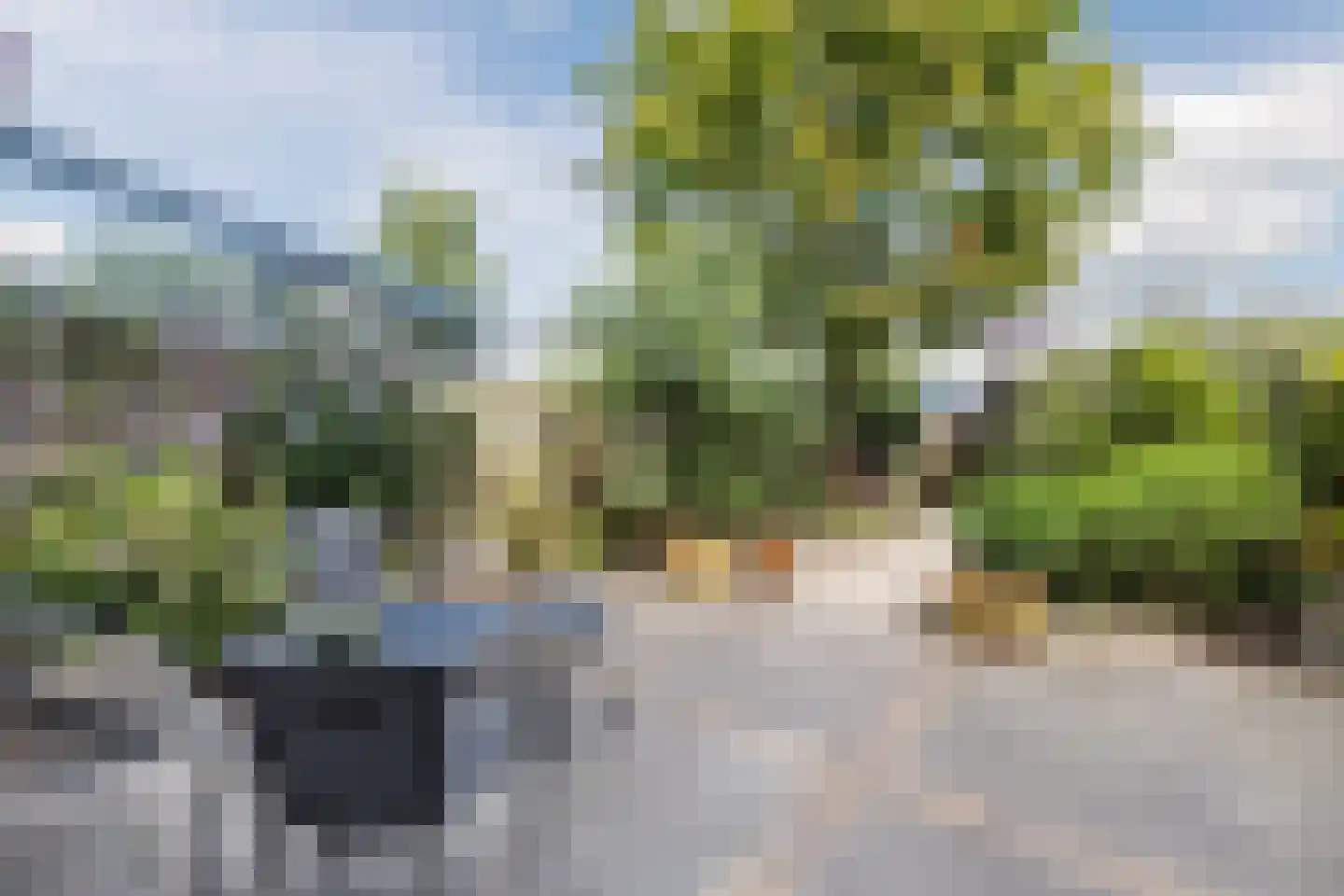 Schoutstraat 21 Montfoort thumbnail 34