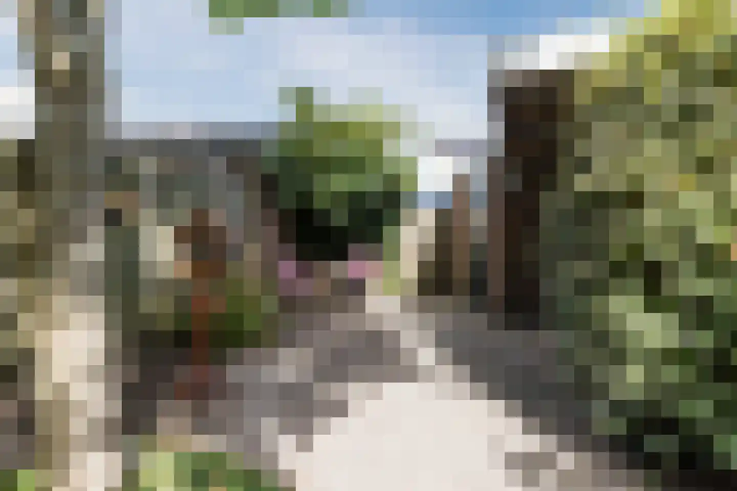 Schoutstraat 21 Montfoort thumbnail 37