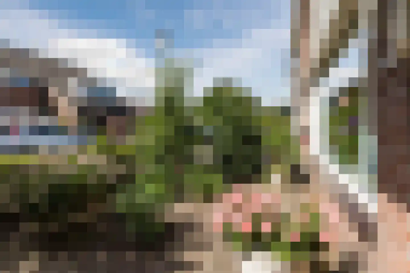 Schoutstraat 21 Montfoort thumbnail 7