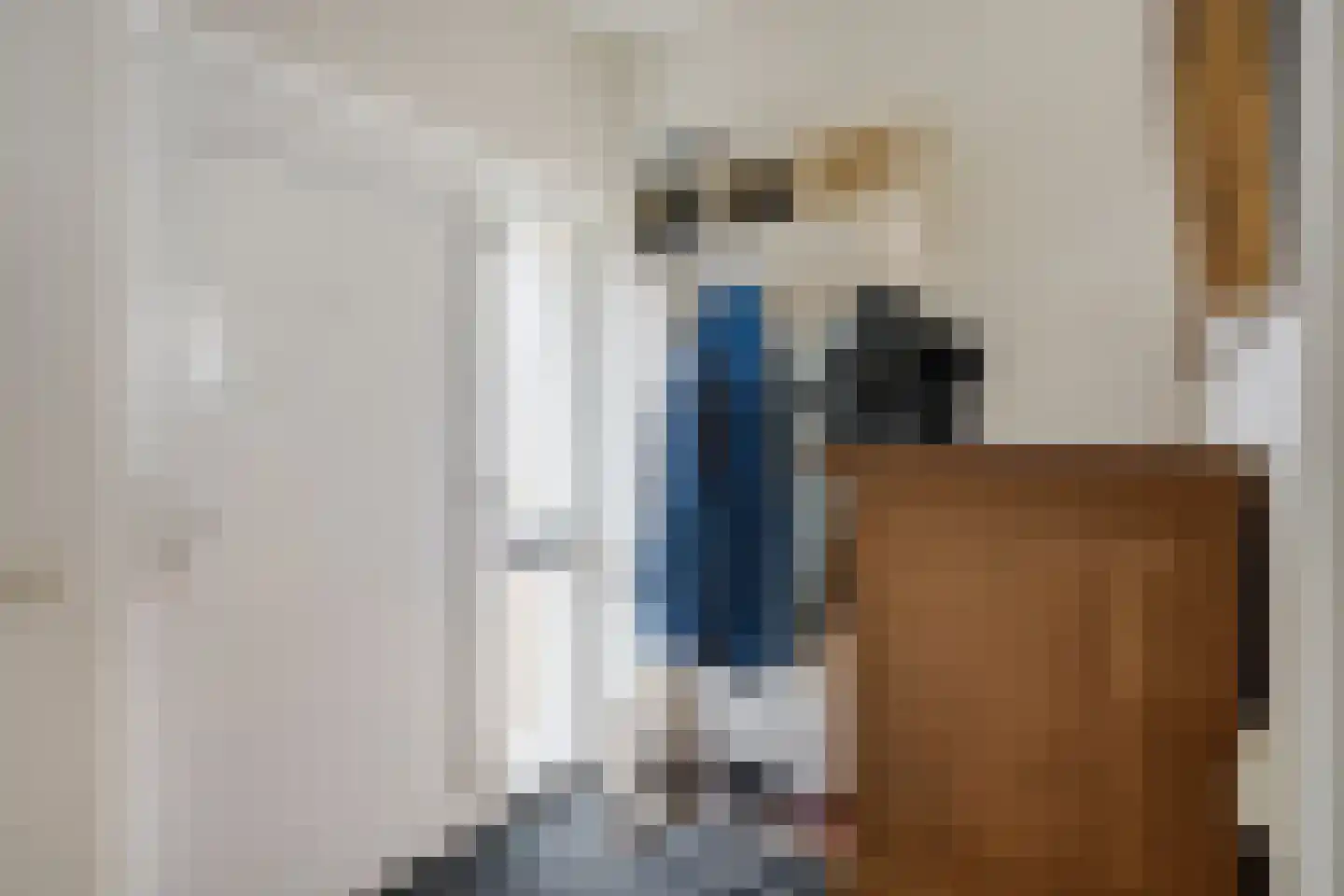 Schoutstraat 23 Geldrop thumbnail 10