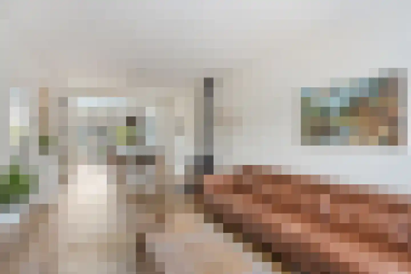 Schoutstraat 23 Geldrop thumbnail 18