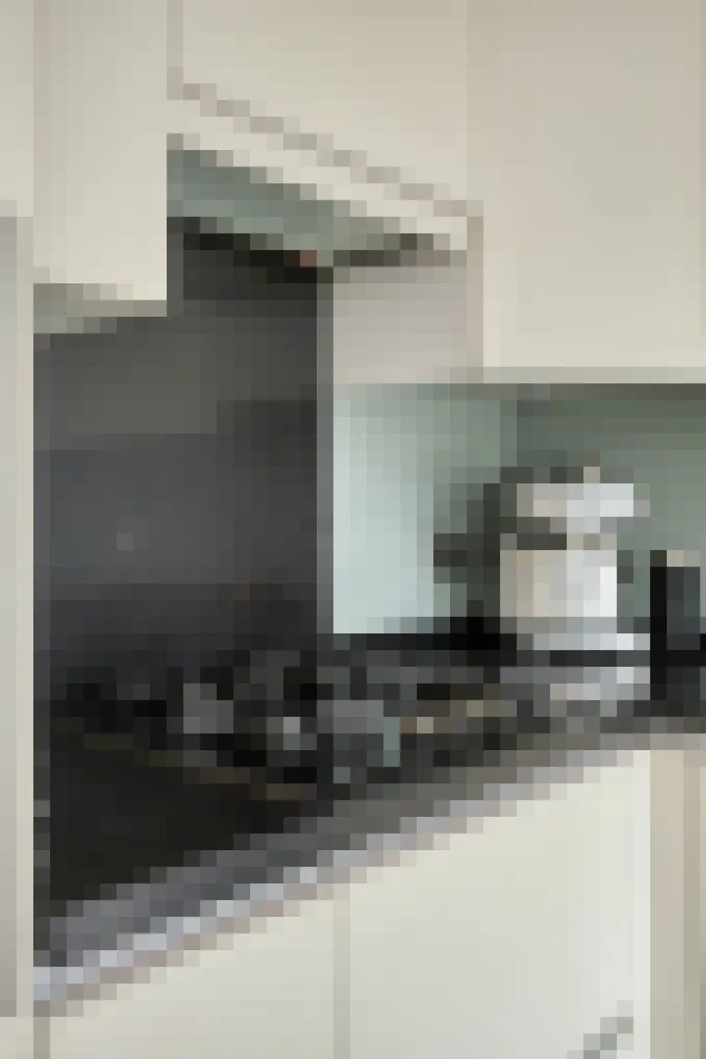 Schoutstraat 23 Geldrop thumbnail 28