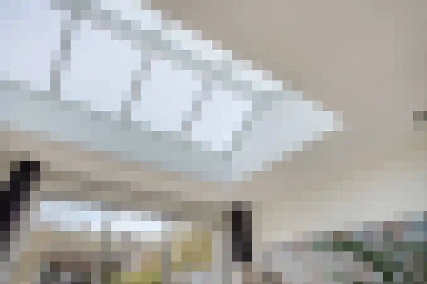 Schoutstraat 23 Geldrop thumbnail 32