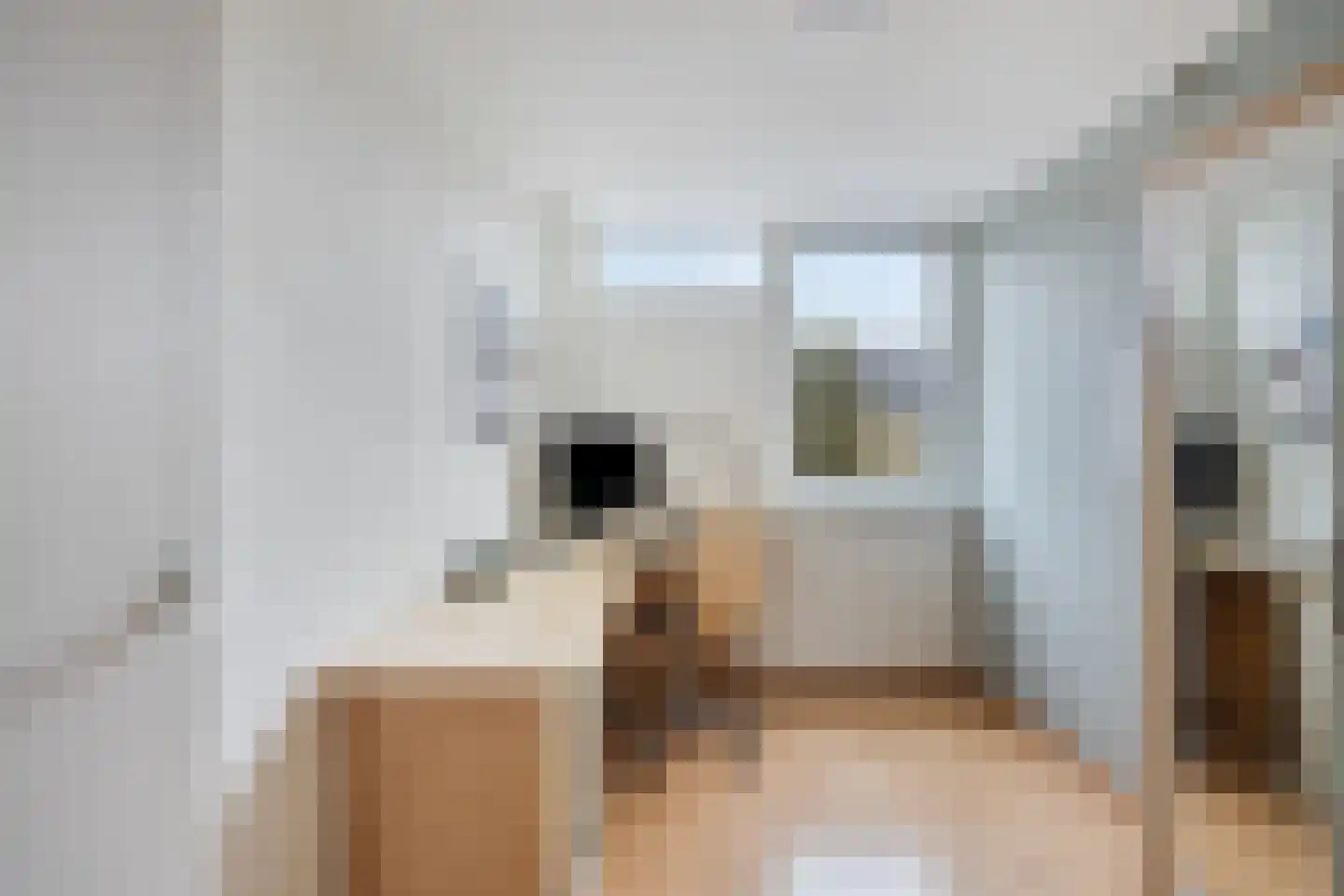Schoutstraat 23 Geldrop thumbnail 44