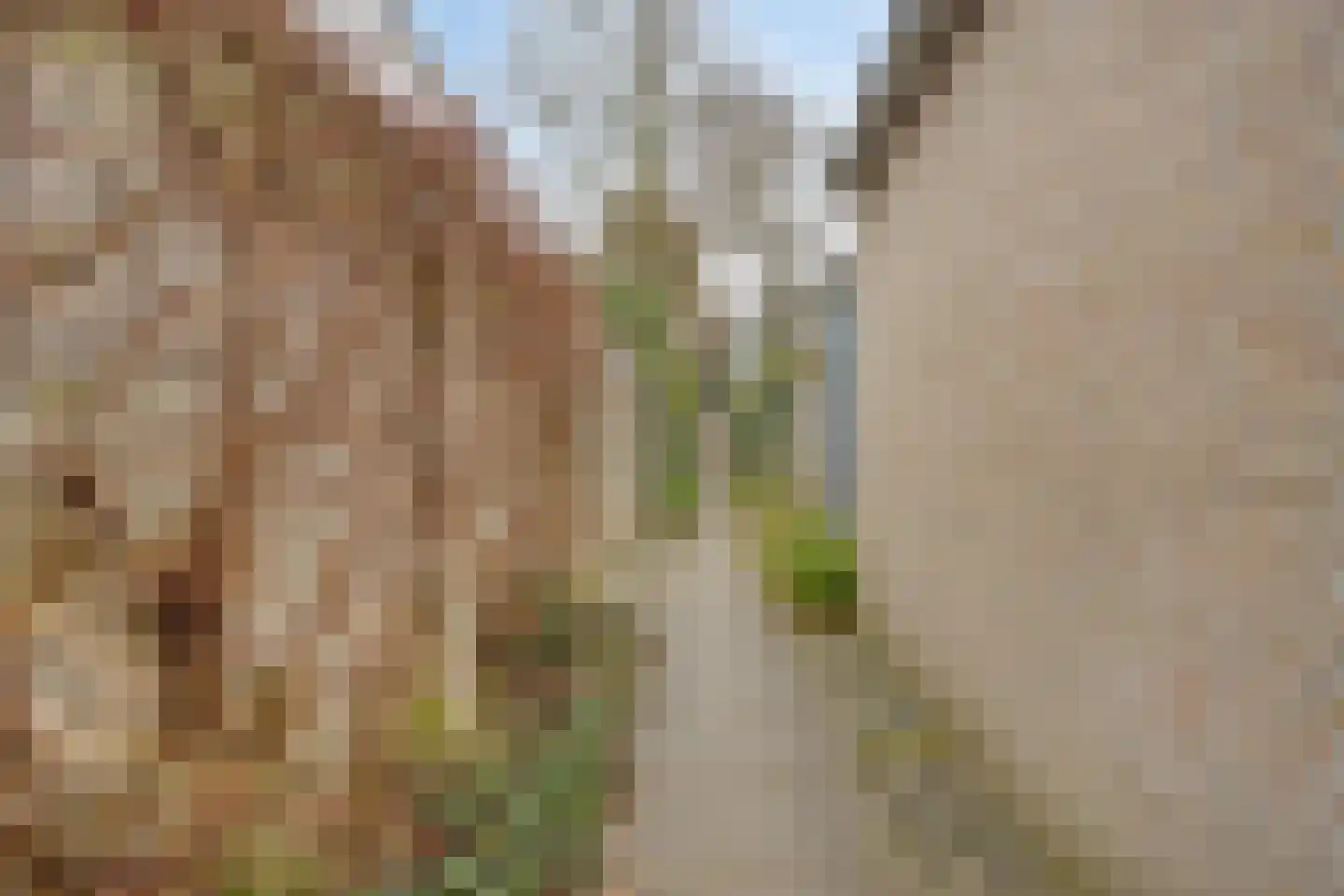 Schoutstraat 23 Geldrop thumbnail 51