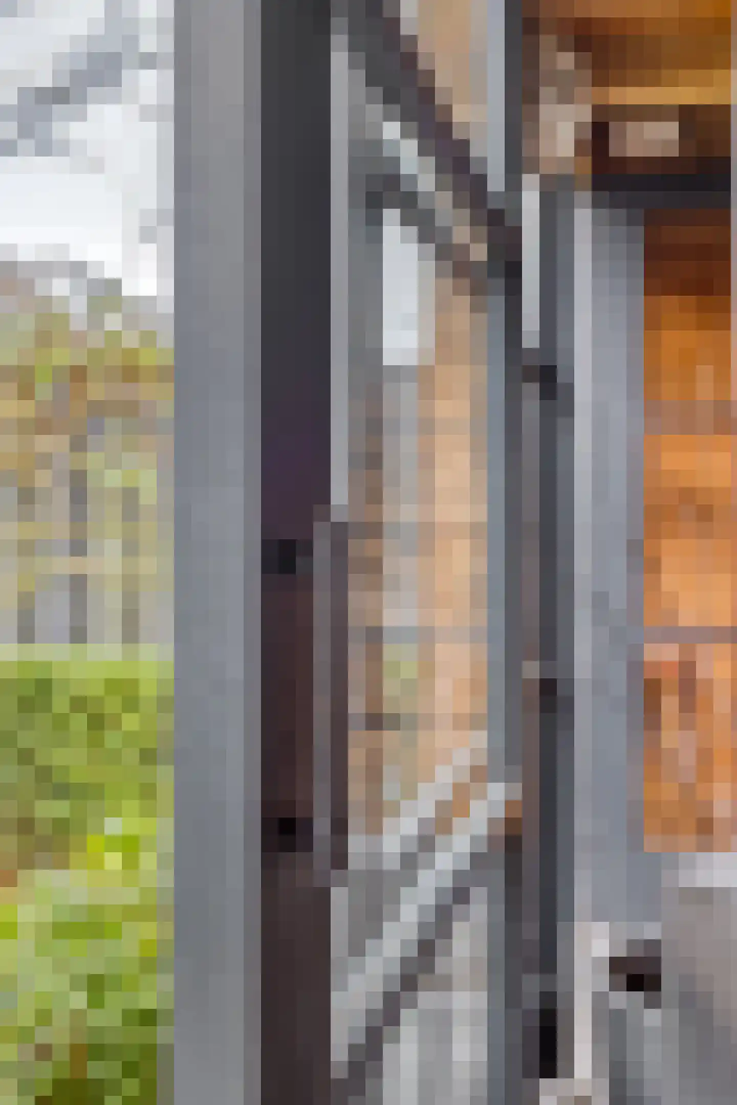 Schoutstraat 23 Geldrop thumbnail 57