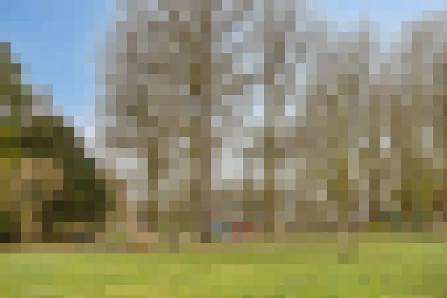 Schoutstraat 23 Geldrop thumbnail 62