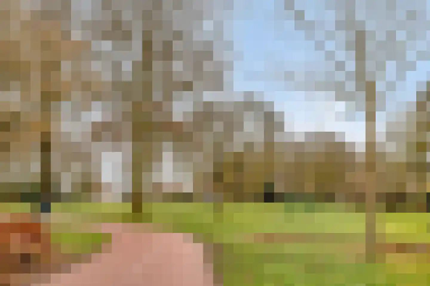 Schoutstraat 23 Geldrop thumbnail 63