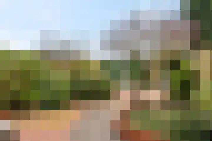 Schoutstraat 25 Gendt thumbnail 32