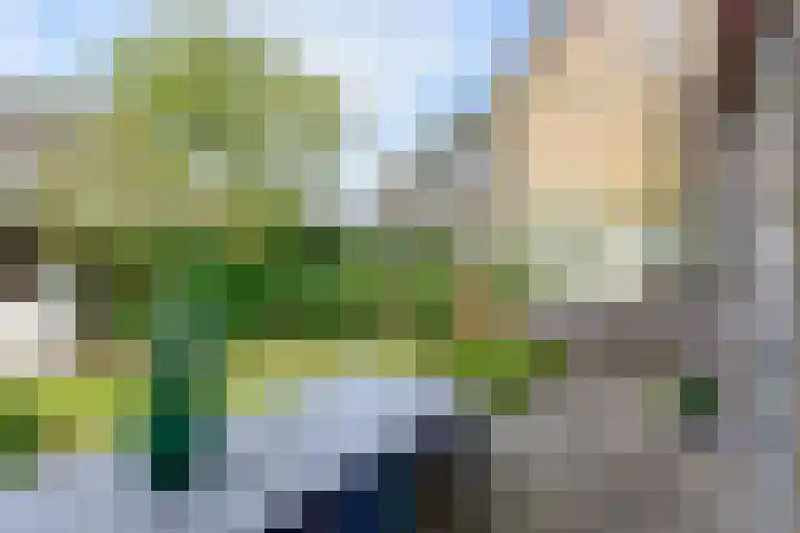 Schoutstraat 26 Ter Aar thumbnail 34