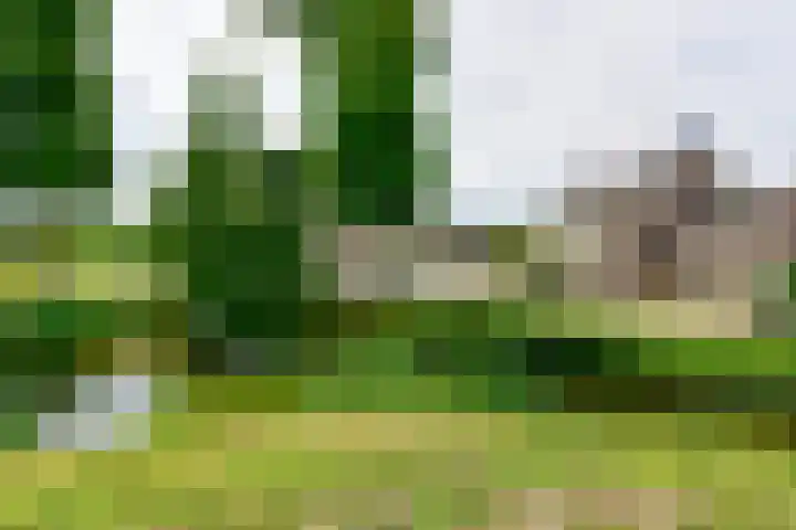 Schoutstraat 26 Ter Aar thumbnail 36