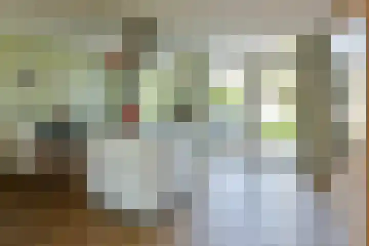 Schoutstraat 26 Ter Aar thumbnail 4