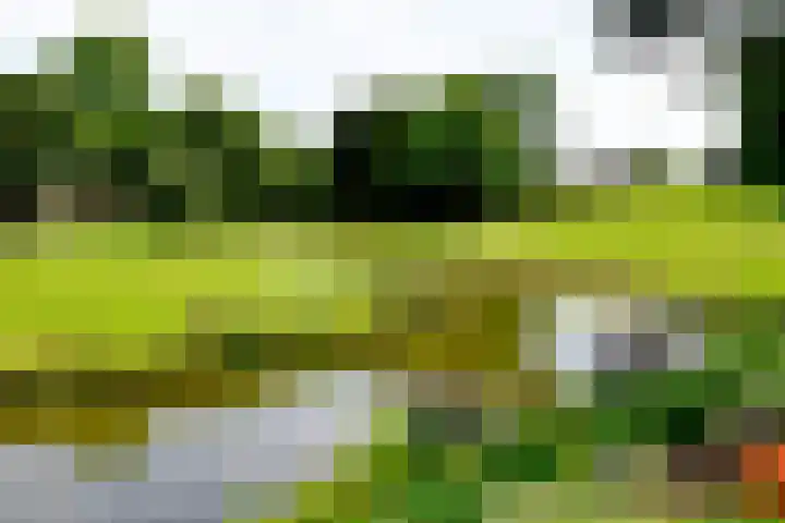 Schoutstraat 26 Ter Aar thumbnail 41