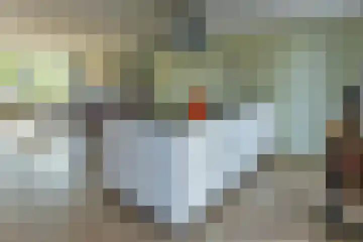 Schoutstraat 26 Ter Aar thumbnail 7