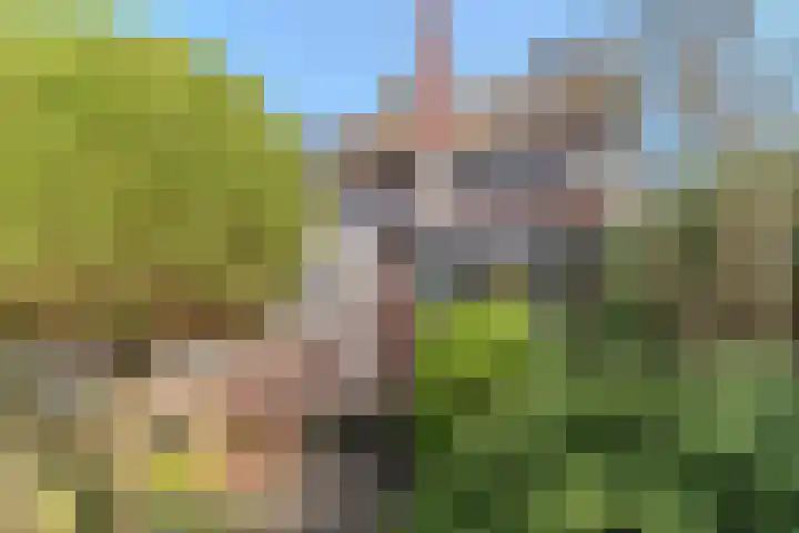 Schoutstraat 29 Rijen thumbnail 22