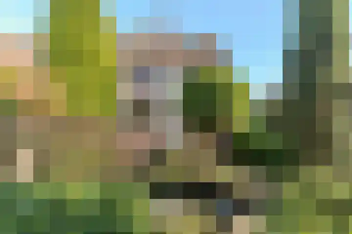 Schoutstraat 29 Rijen thumbnail 23