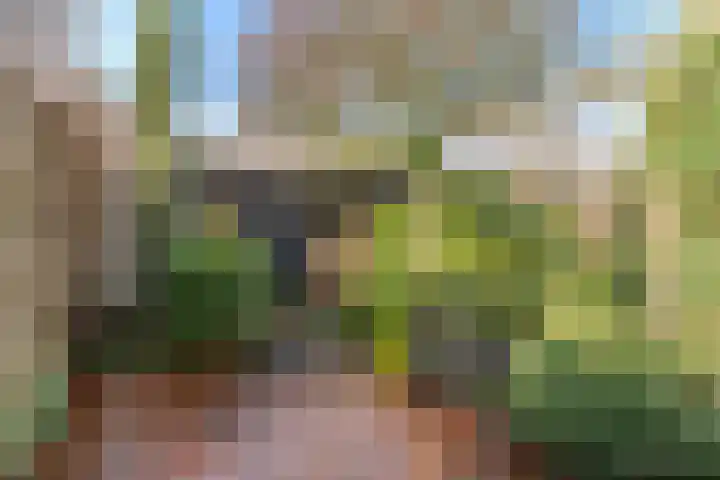 Schoutstraat 29 Rijen thumbnail 24