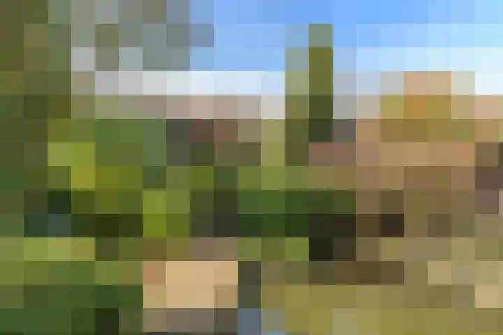 Schoutstraat 29 Rijen thumbnail 25